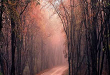 开云体育投注-富力溃败连连，重振之路何在？揭秘球队低迷背后的深层次原因