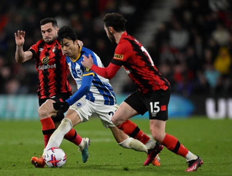 包含布莱顿备战伯恩茅斯,球队战术逐渐成熟的词条 包含布莱顿备战伯恩茅斯,球队战术逐渐成熟的词条