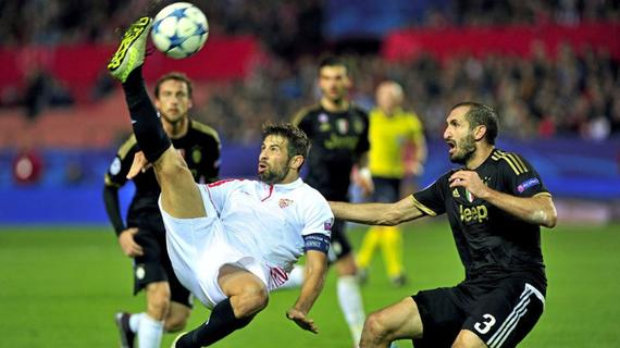 开云体育教练-包含沙尔克球迷发起激烈抗议，要求更换主帅的词条